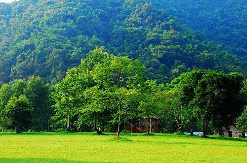 廣發(fā)銀行向“新”而行，奮力書寫跨境金融“特色答卷”