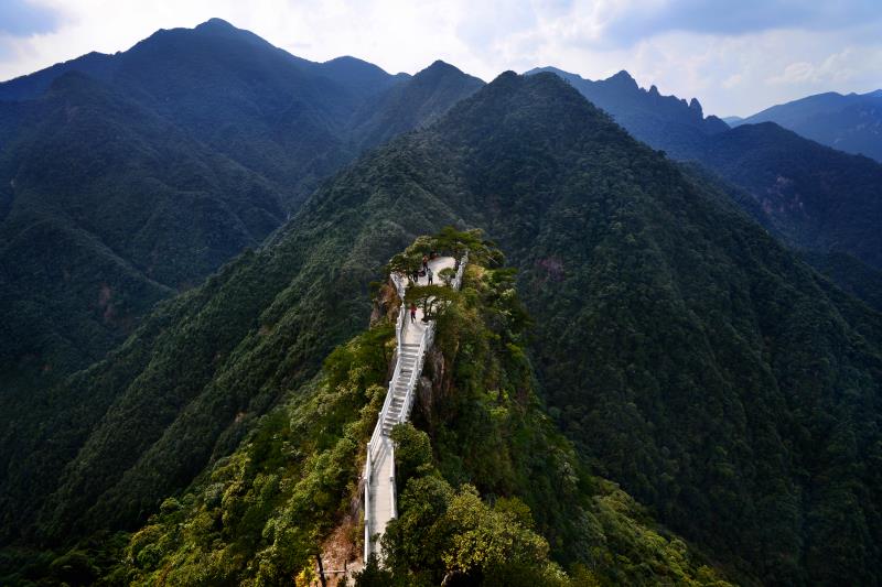 我省召開電視電話會議調度臺風“韋帕”防御工作