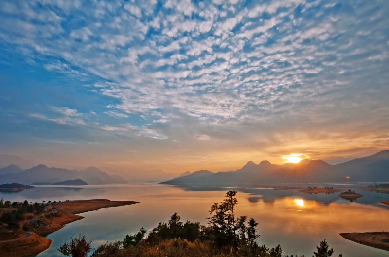 從保費(fèi)突破7000億，看壽險頭雁的發(fā)展韌性