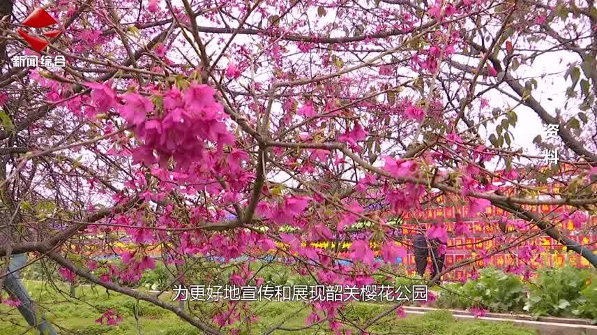 民生關(guān)注20240911