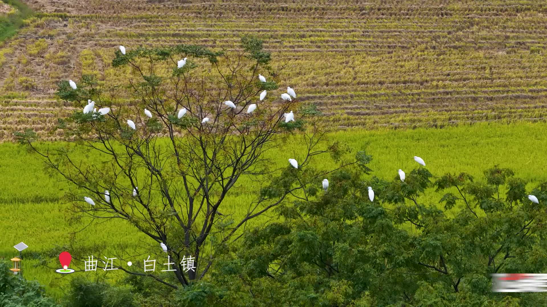 飛閱韶關(guān)20251215