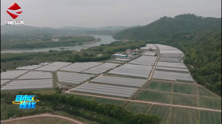 縣市區(qū)連線20251216