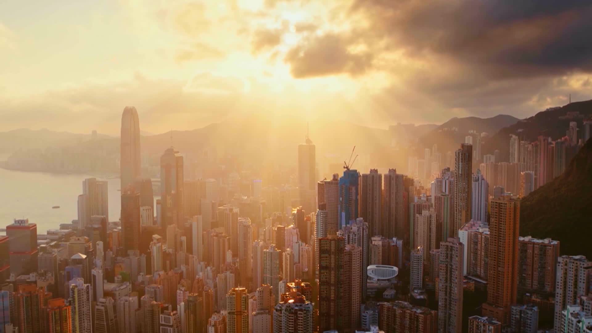 《怒放》上集：《向陽而生》