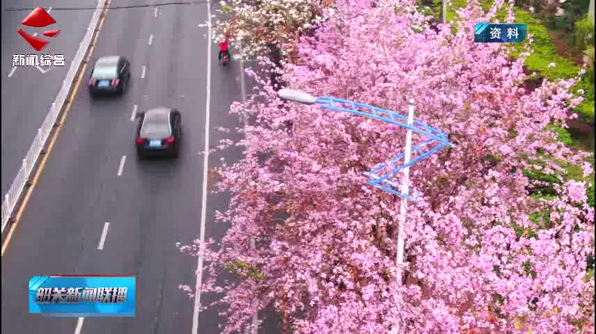 韶關(guān)新聞聯(lián)播20260102