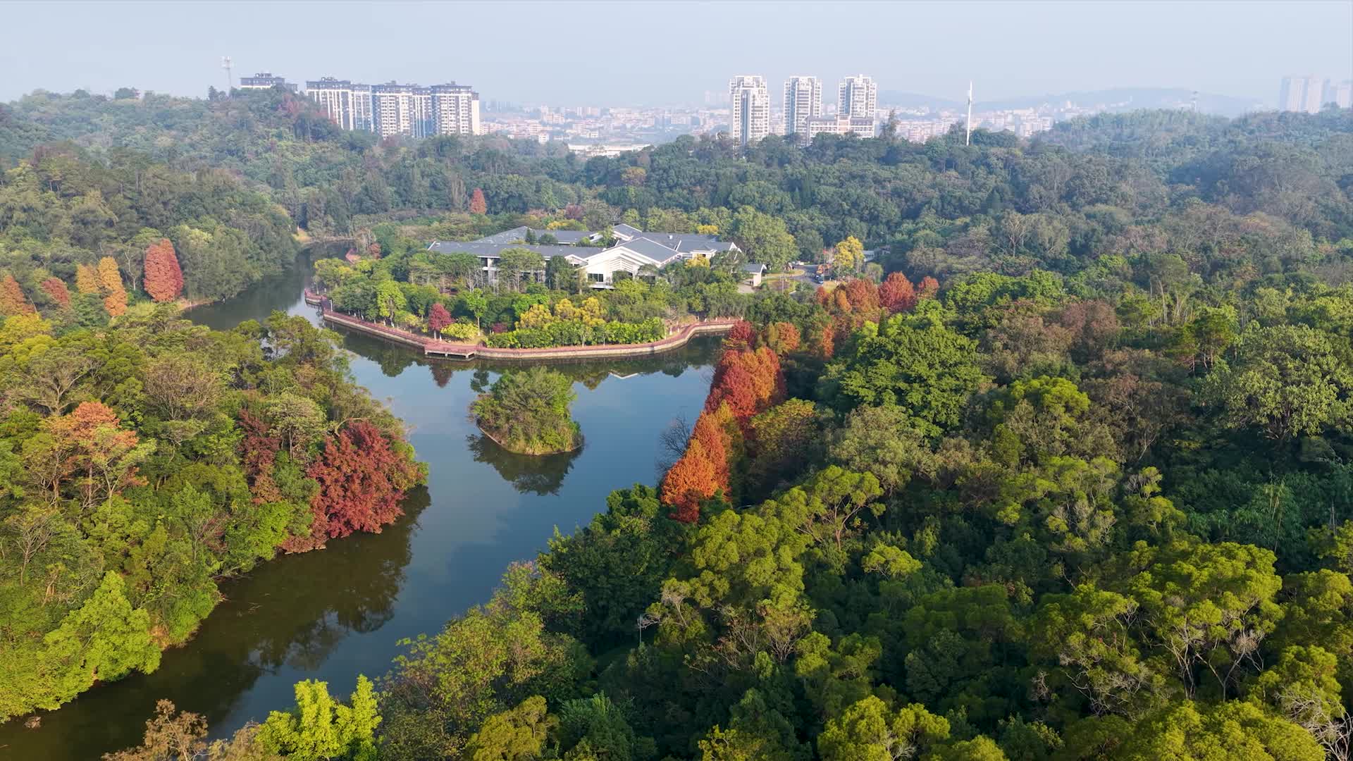 飛閱韶關(guān)20260119