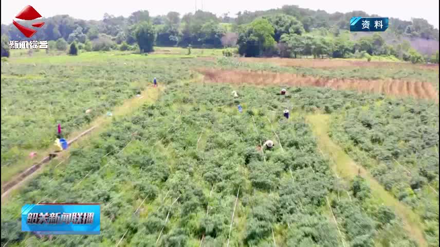 【2025年市政協(xié)重點提案回顧之二】全力構(gòu)建特色農(nóng)產(chǎn)品全產(chǎn)業(yè)鏈標準化體系和推進陸港型國家物流樞紐建設(shè) 助力韶關(guān)經(jīng)濟社會高質(zhì)量發(fā)展