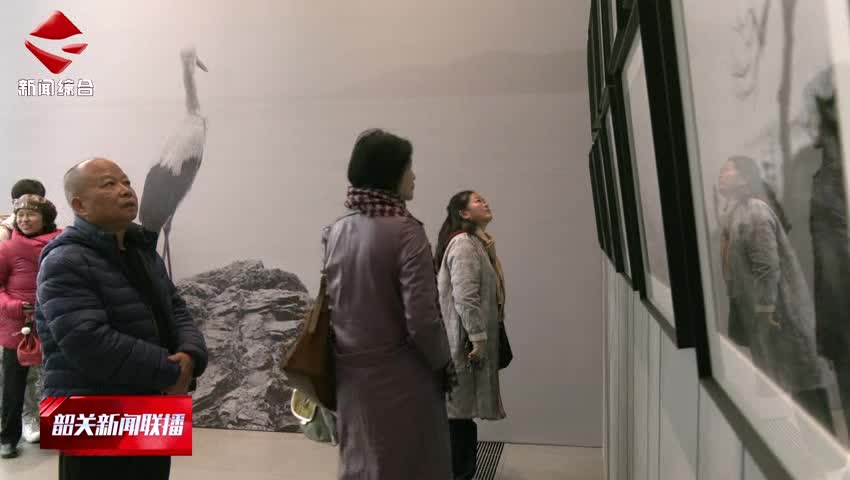 【我們的節(jié)日·春節(jié)】風(fēng)度書(shū)院2026迎春文化系列活動(dòng)精彩上演