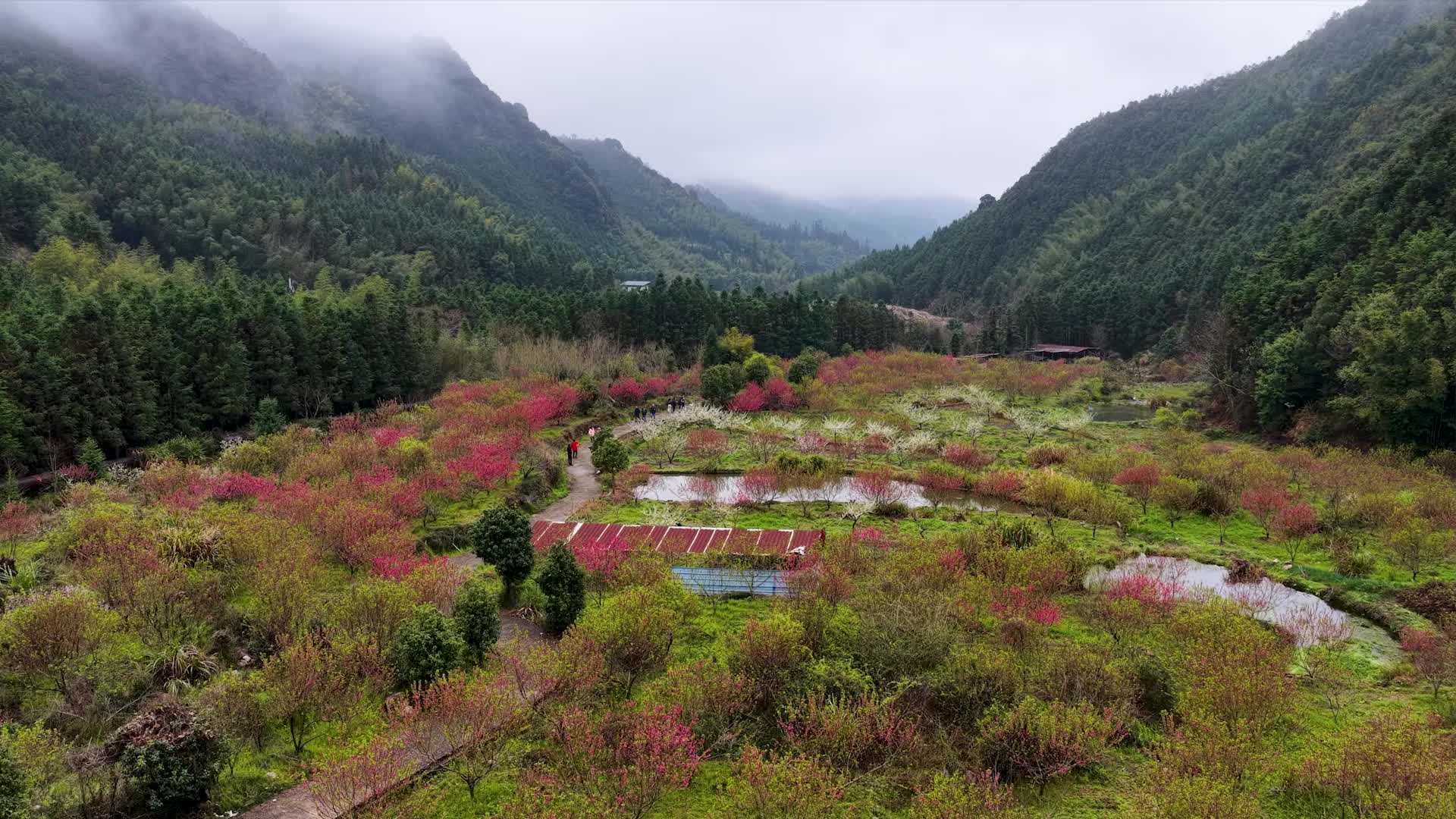 飛閱韶關(guān)20260316