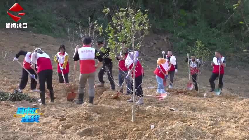 縣市區(qū)連線20260319