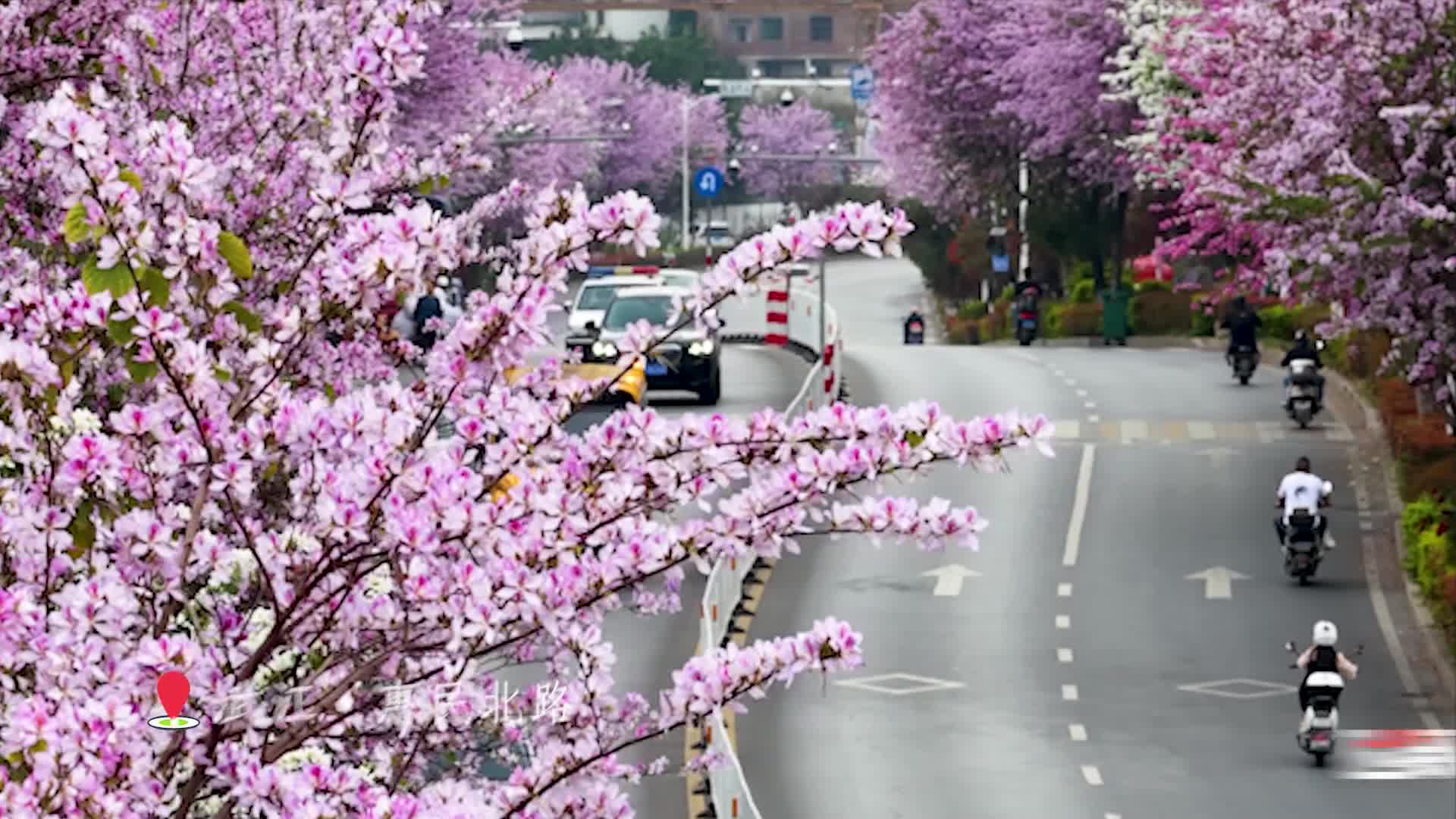 飛閱韶關(guān)20260330