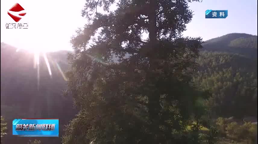 韶關(guān)新聞聯(lián)播20260405