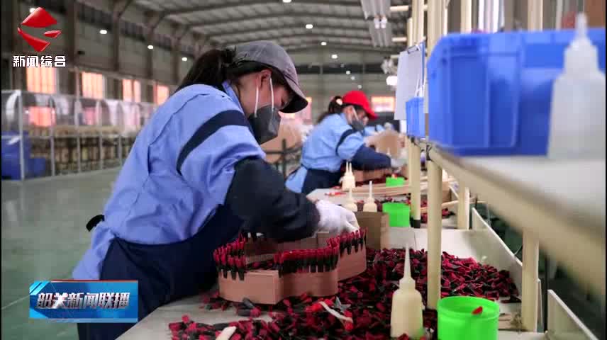 【強(qiáng)信心 促發(fā)展】威柏樂器“智造”琴聲嘹亮 國際訂單占比超九成